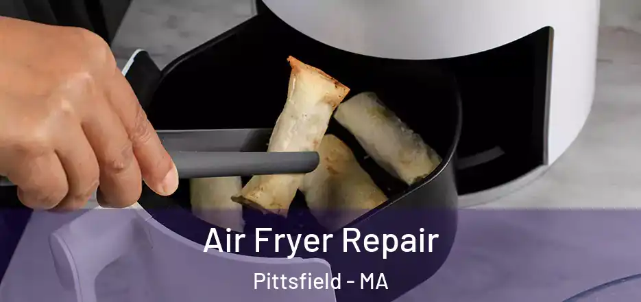 Air Fryer Repair Pittsfield - MA