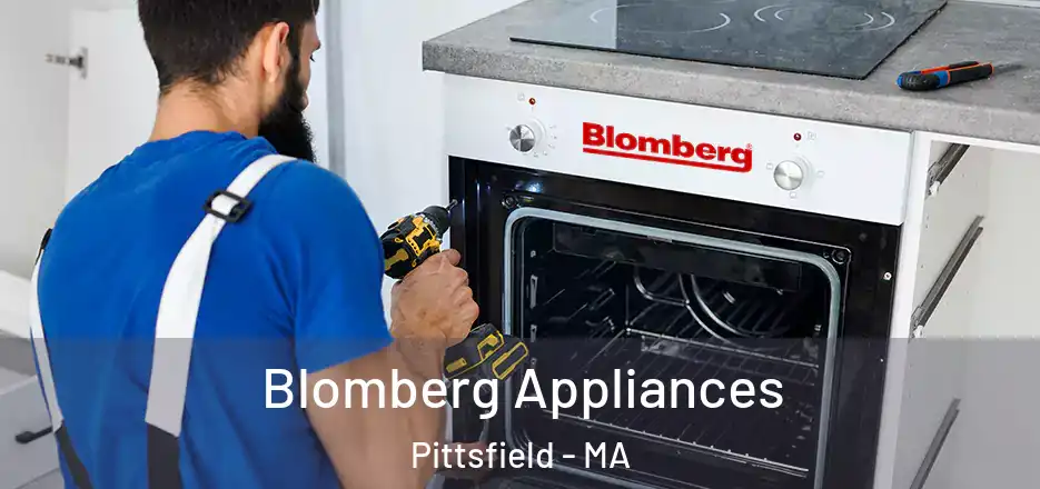 Blomberg Appliances Pittsfield - MA