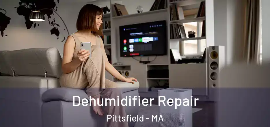 Dehumidifier Repair Pittsfield - MA
