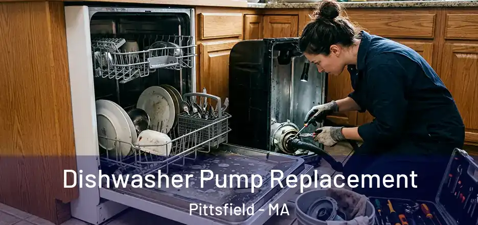 Dishwasher Pump Replacement Pittsfield - MA