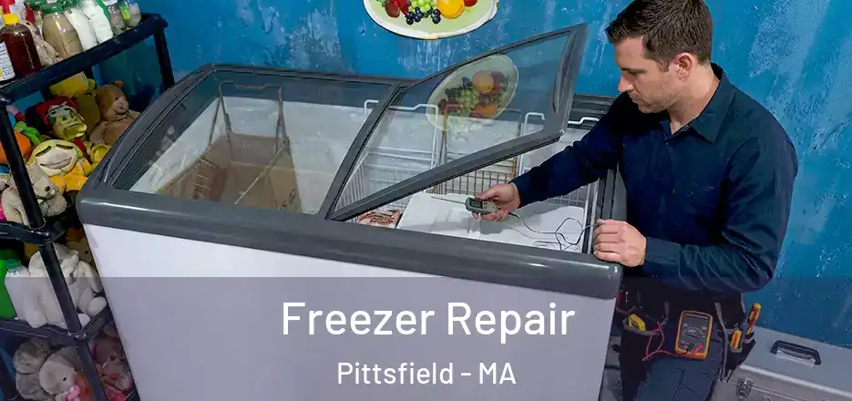 Freezer Repair Pittsfield - MA
