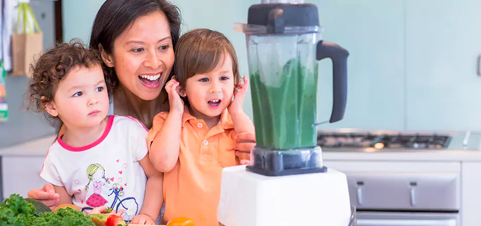 Juicer and Mixer Blender Repair in Pittsfield