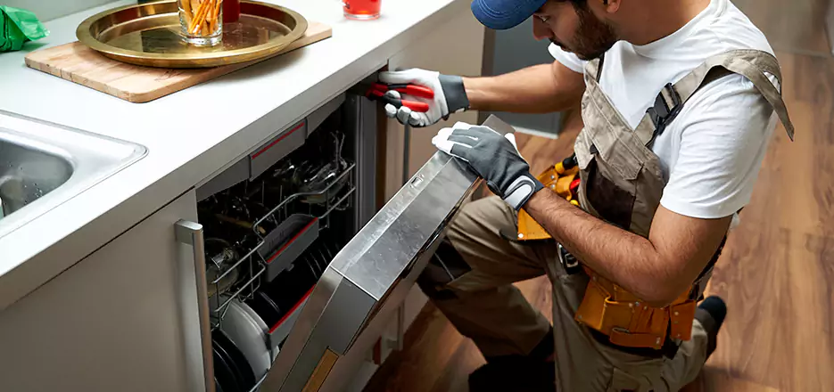Same Day Dishwasher Not Draining Repair in Pittsfield