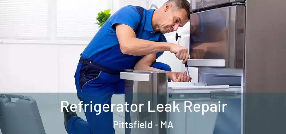 Refrigerator Leak Repair Pittsfield - MA