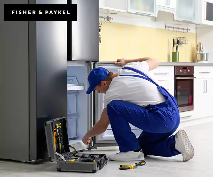 Top-Rated Fisher & Paykel Appliance Experts: Your Brand Specialist in Pittsfield, MA